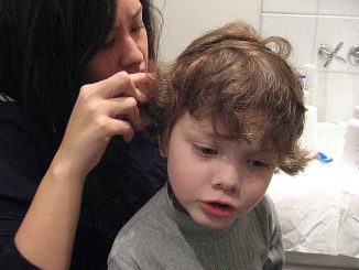 Lice in children, treatment at home