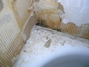 black mold in the bathroom how to deal