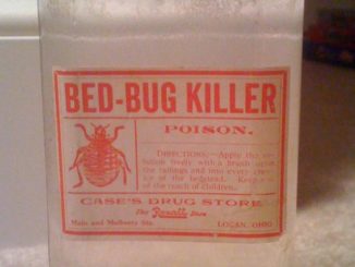 racun untuk bedbugs